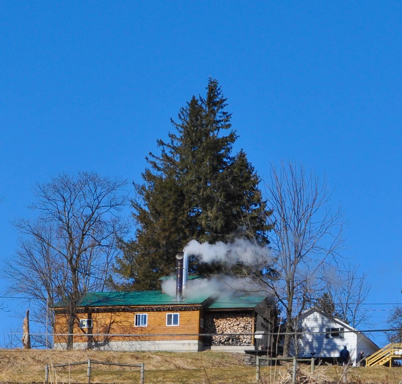 See the plumes of steam rising from the sugar shack at the Diehl Homestead Farm? That’s why you don’t make maple syrup in your kitchen.